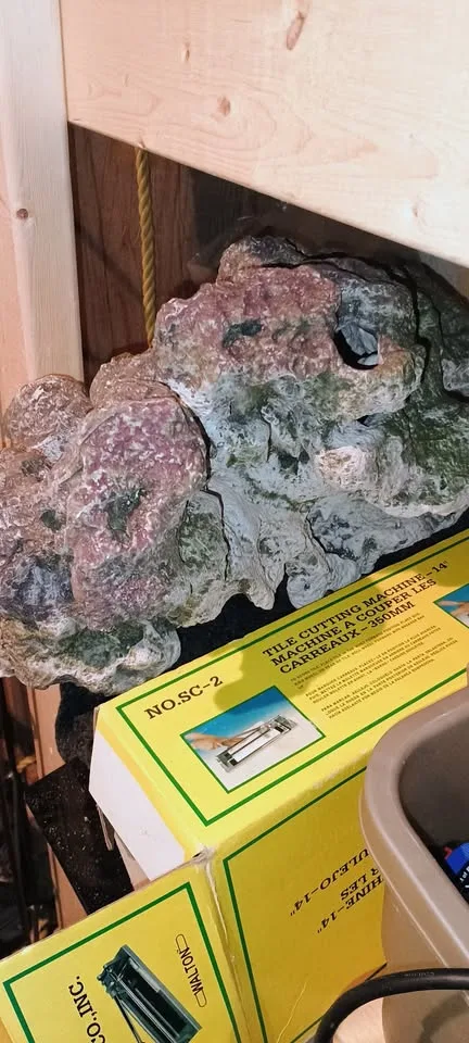 Assorted Fish Tank Decorations image indicator(2)