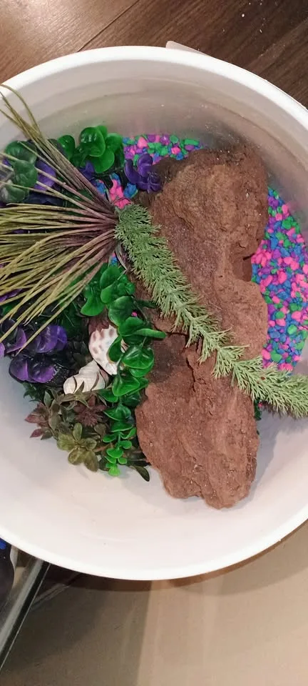 Assorted Fish Tank Decorations image indicator(5)