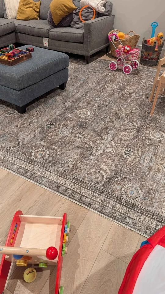 Area Rug - photo 2