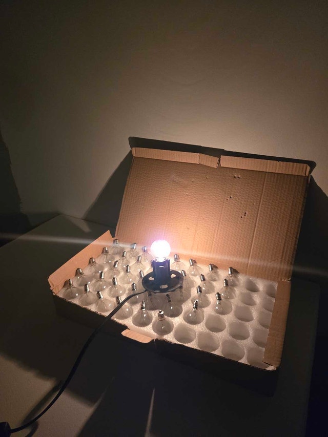 38 Clear Incandescent Lightbulbs For Outdoor String Lighting - photo 2