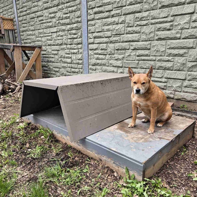 Shed Dog House Metal Roofing 4.5ft x 5.5ft approx. - photo 2
