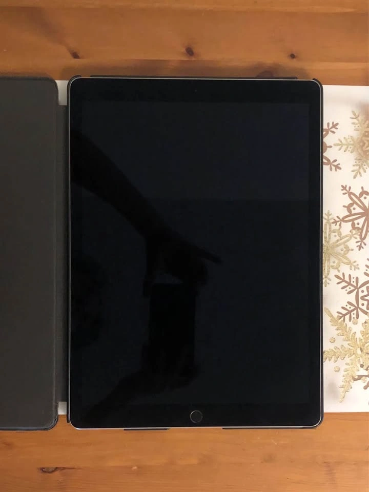 2017 2nd Gen iPad Pro 12.9 inch 256GB with Case - photo 3