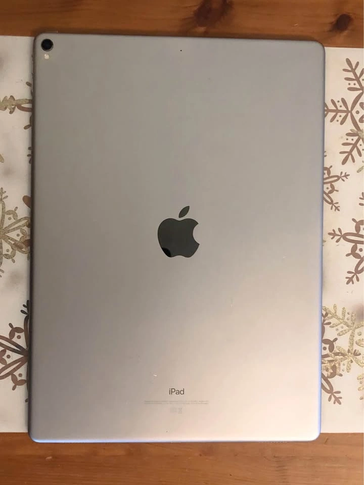 2017 2nd Gen iPad Pro 12.9 inch 256GB with Case - photo 4