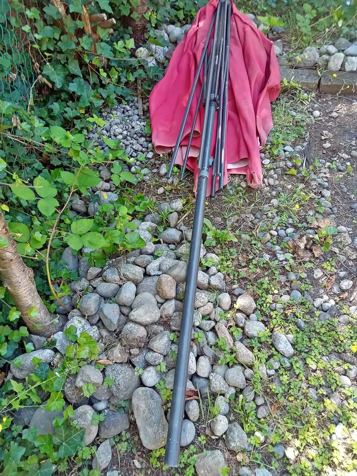 Patio umbrellas and poles ($20 each)