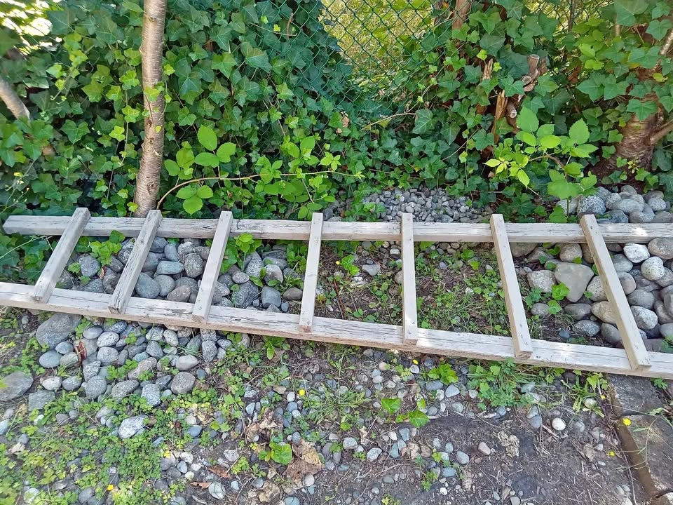 8 ft Wooden Ladder