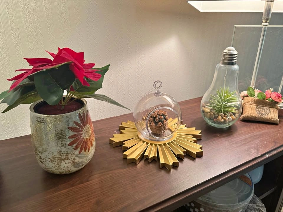 3 items ($10 each or $25 for all)