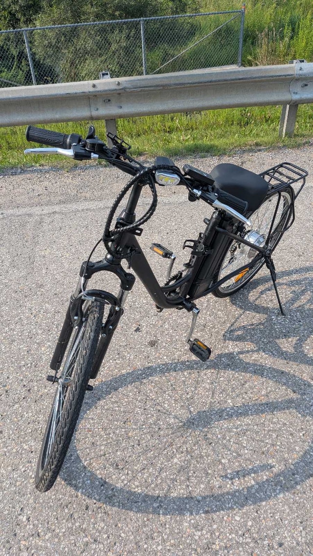 daymak ebike - photo 3