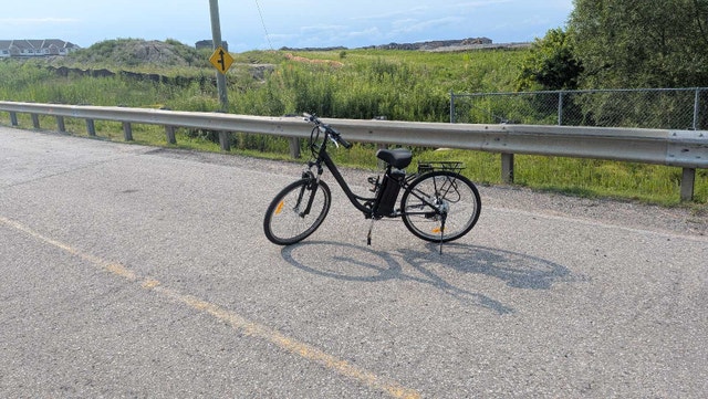 daymak ebike - photo 4