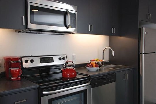 1 bedroom 1 bath apartment in the Exchange district - photo 4