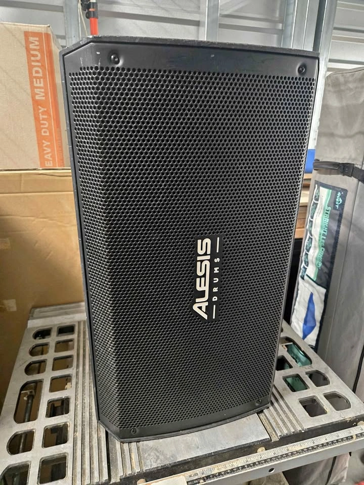 Alesis Drums Strike Amp 12 Powered Speaker