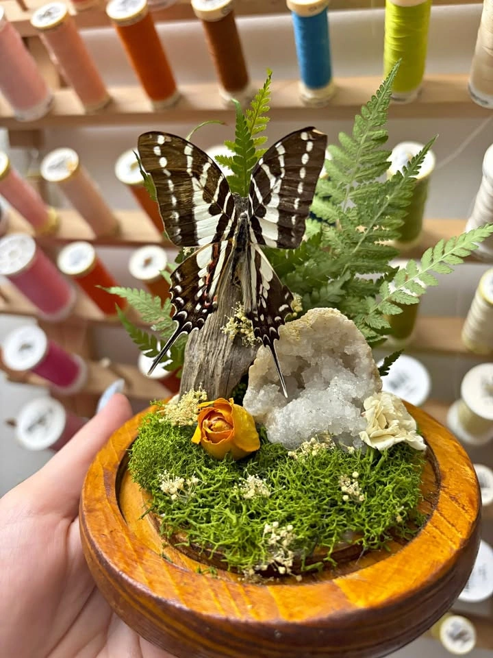 Spot Swordtail Dome with Flowers and Geode