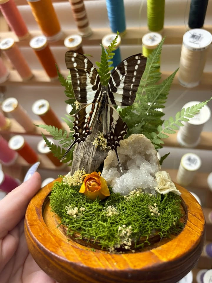 Spot Swordtail Dome with Flowers and Geode - photo 2