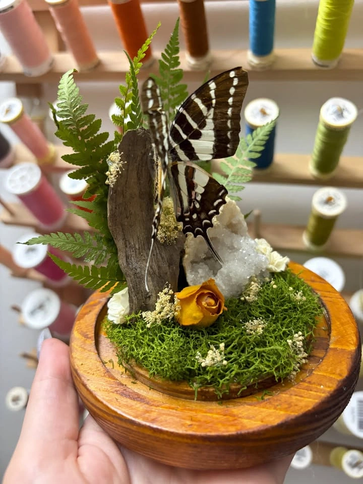 Spot Swordtail Dome with Flowers and Geode - photo 3