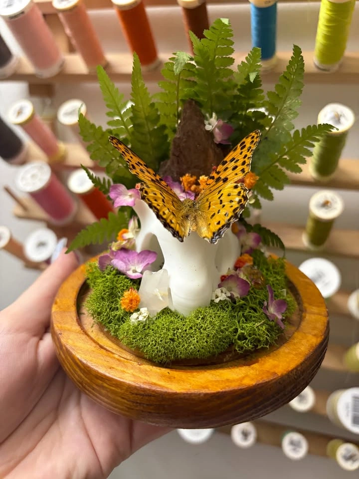 Mini Cubone Skull Dome with Butterfly - photo 3