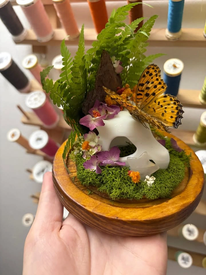 Mini Cubone Skull Dome with Butterfly - photo 4