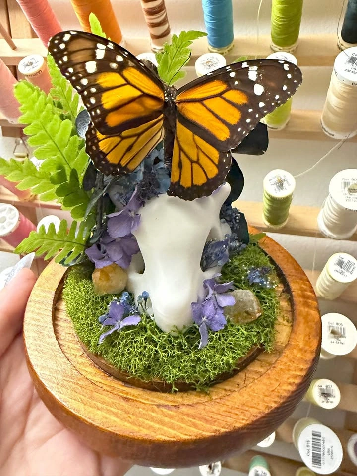 Mini Cubone Skull with Monarch Butterfly Dome
