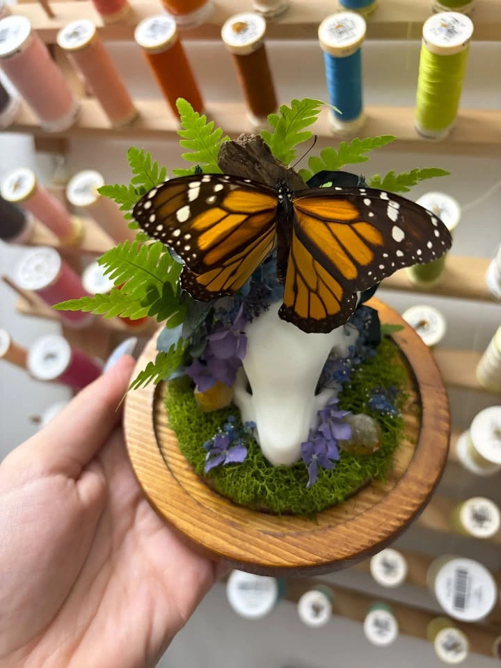 Mini Cubone Skull with Monarch Butterfly Dome - photo 2