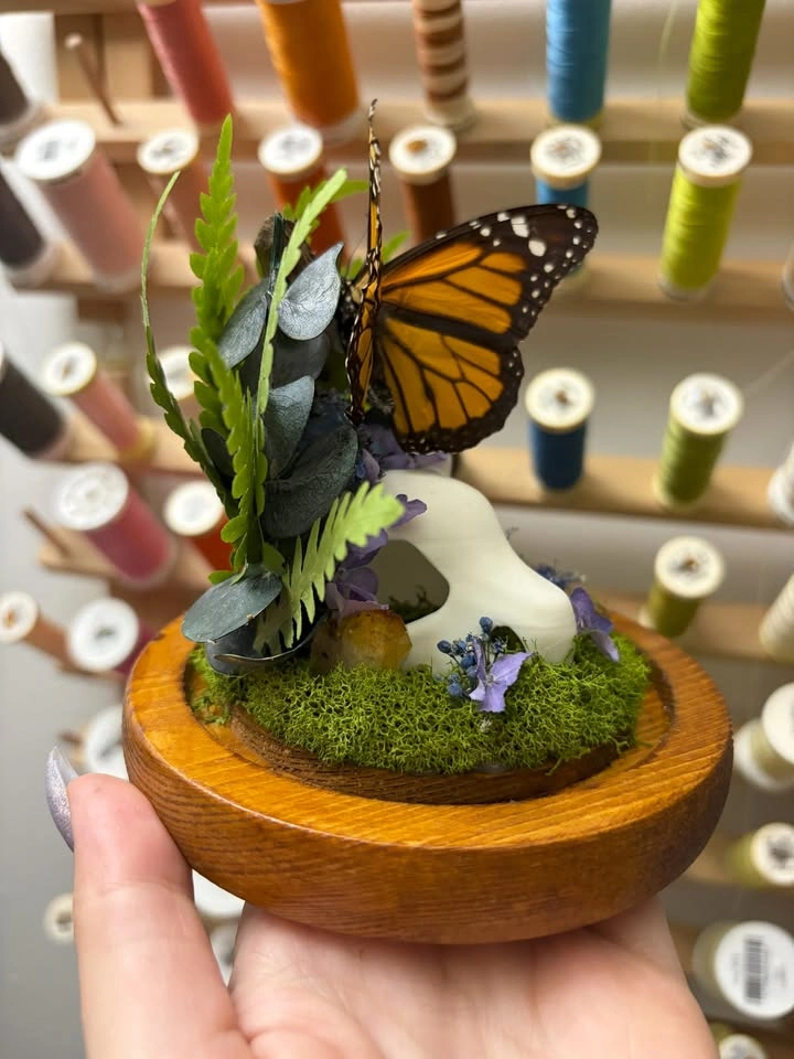 Mini Cubone Skull with Monarch Butterfly Dome - photo 3