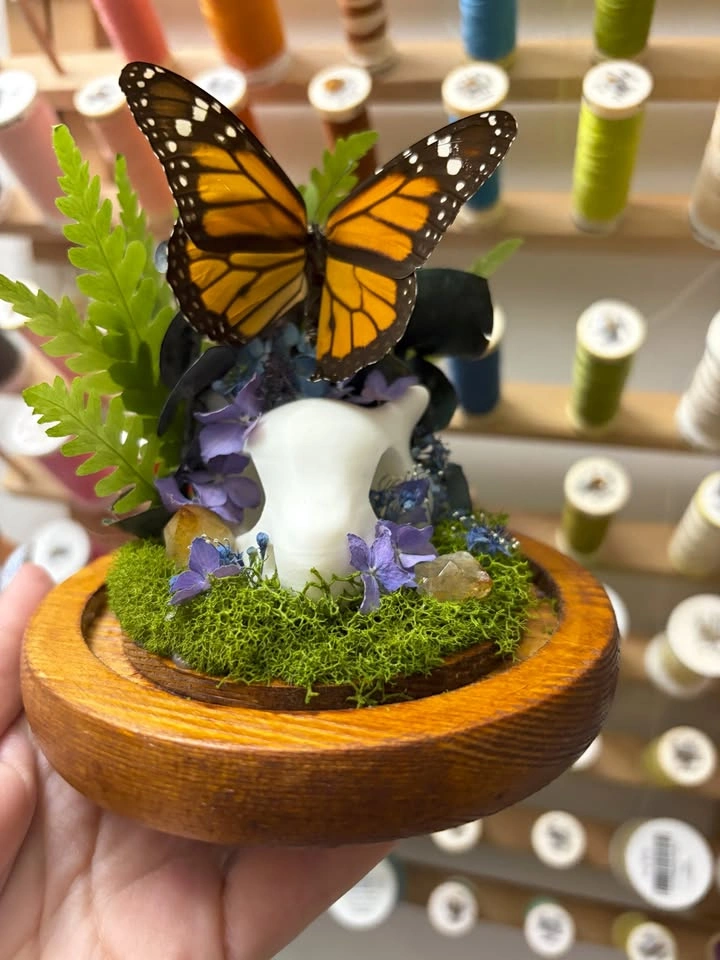 Mini Cubone Skull with Monarch Butterfly Dome - photo 4