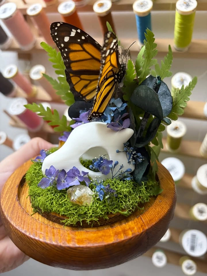 Mini Cubone Skull with Monarch Butterfly Dome - photo 5