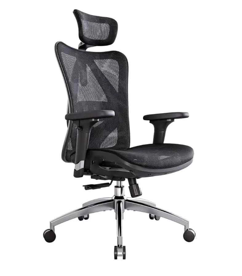 SIHOO Ergonomic Office Chair with 3 Way Armrests