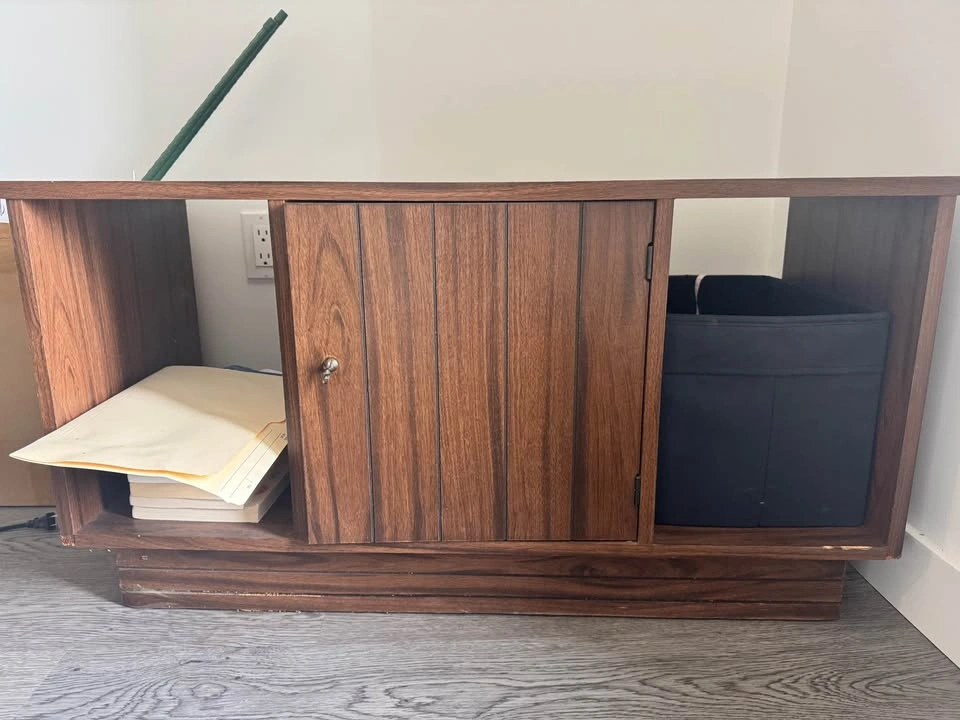 Mid-Century Style Low Cabinet / TV Console - photo 3