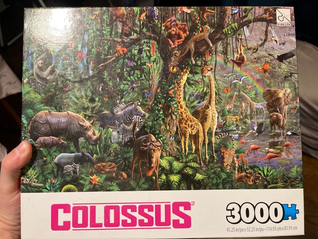 Various Puzzles - photo 2