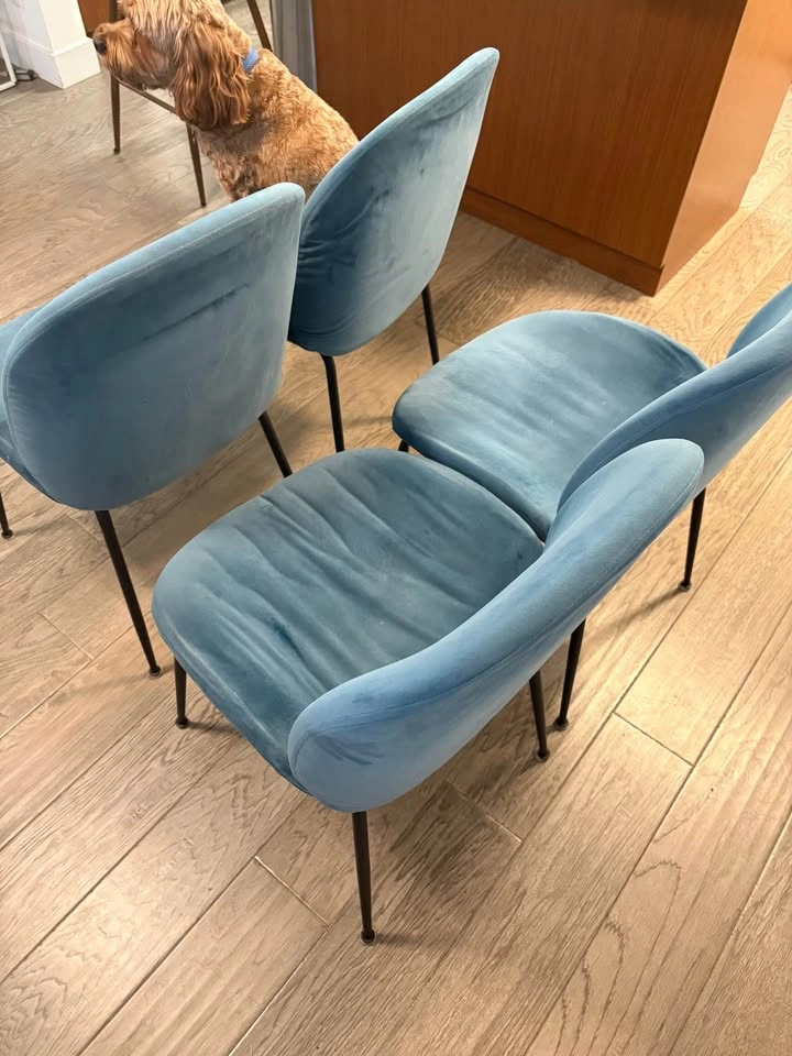 4x blue velvet chairs - photo 3