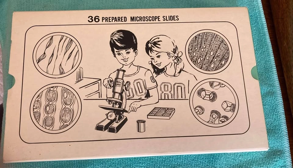 Vintage 36 Prepared Microscope Slide Sets - Made In Japan - photo 2