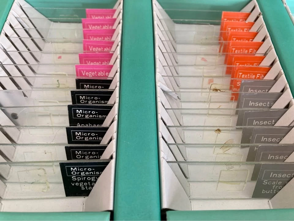 Vintage 36 Prepared Microscope Slide Sets - Made In Japan - photo 3