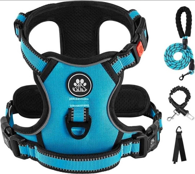 Dog Harness and Leash Set