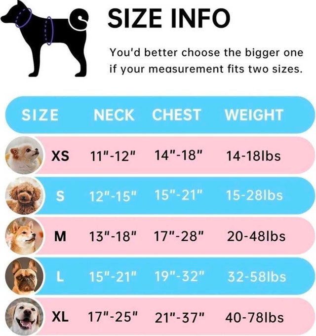 Dog Harness and Leash Set - photo 2