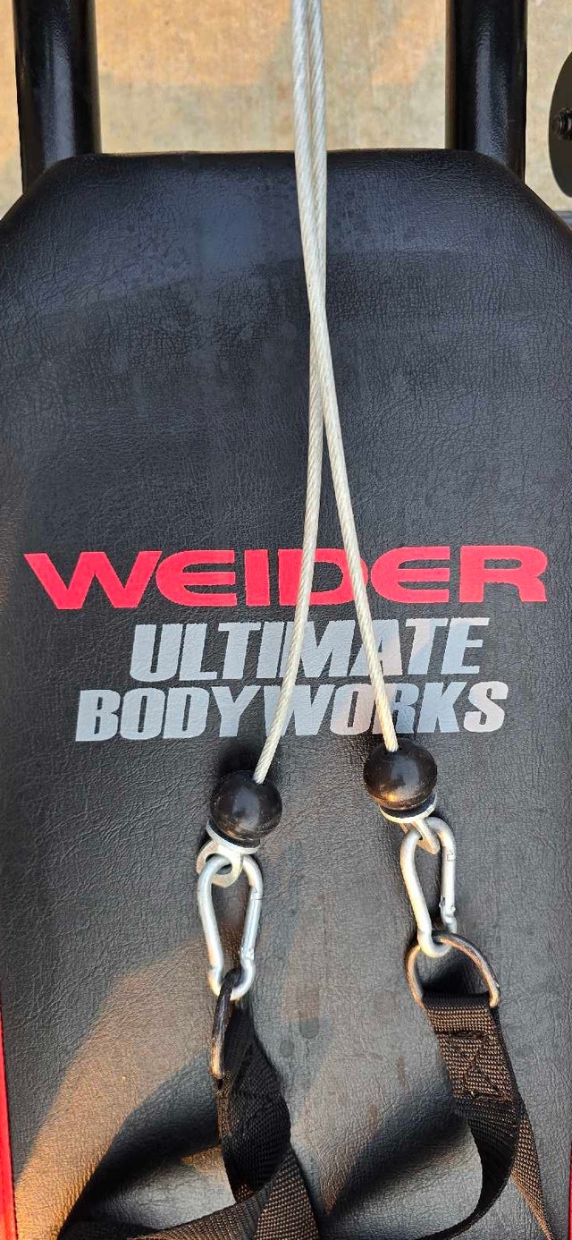 Weider Ultimate Body Works - photo 5