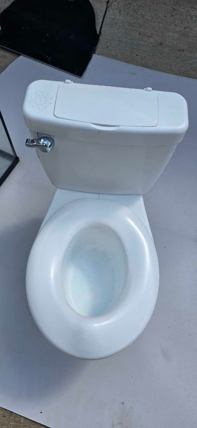 Summer Infant Potty