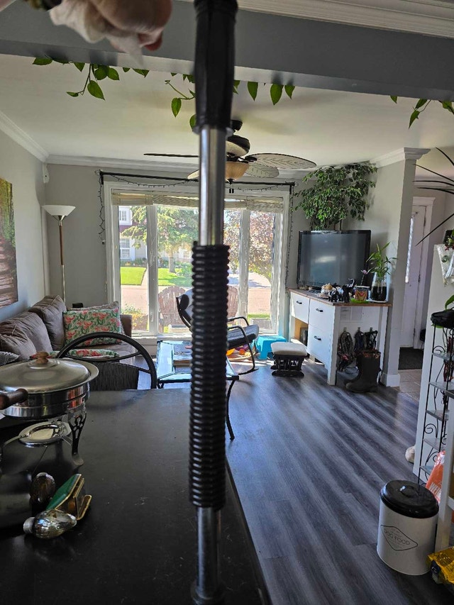 Tension Spring Exercise Bar - photo 3