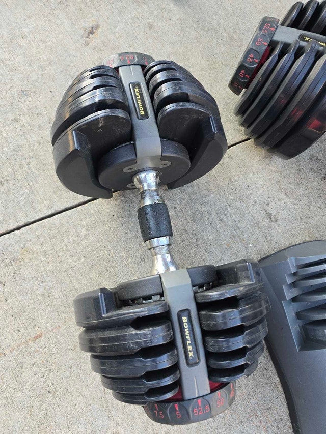 Bowflex SelectTech 552 Adjustable Dumbbells
