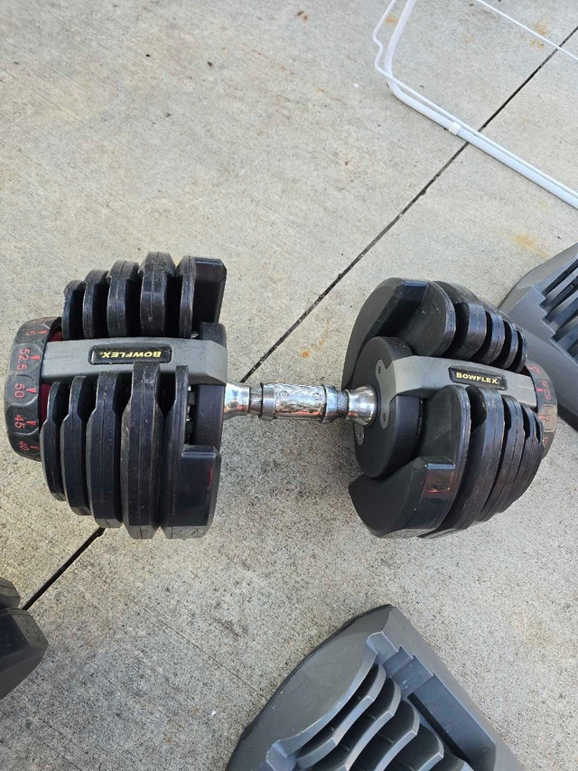 Bowflex SelectTech 552 Adjustable Dumbbells - photo 2