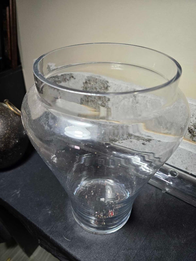Clear Glass Vase