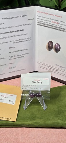 14.61ct Untreated Burmese Star Ruby Pair Loose Gemstones - photo 3