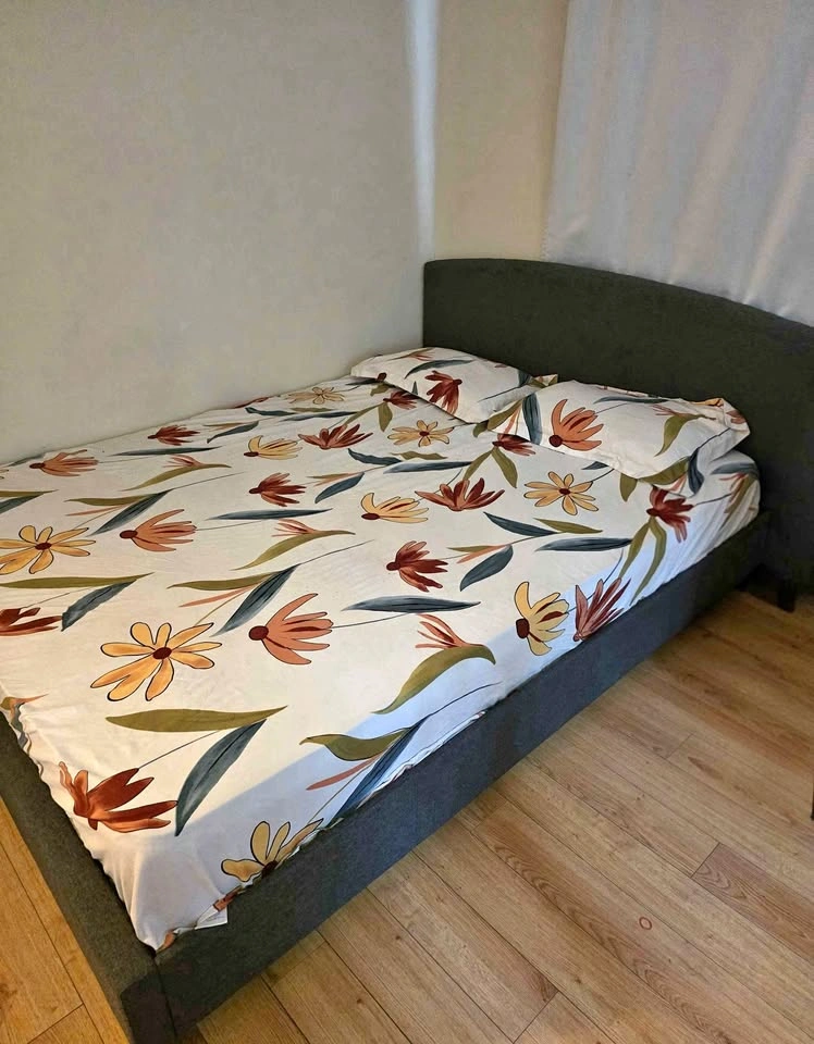 Queen Bed + Mattress