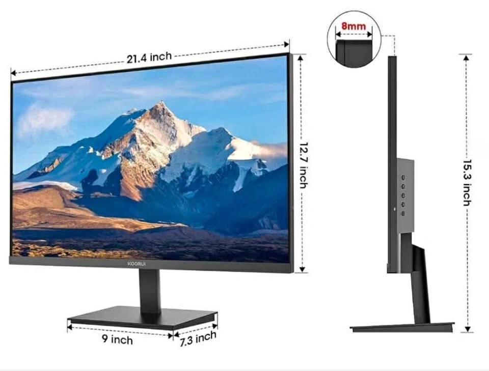 MOVEOUT SALE- Computer monitor