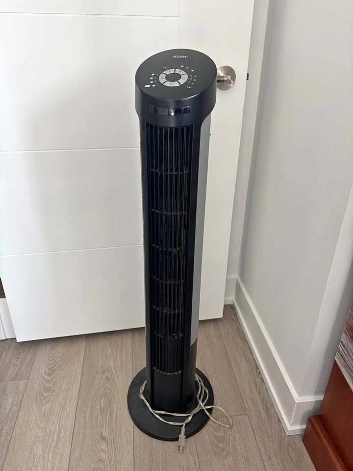 Fan