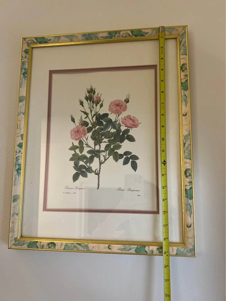 P.J. Redouté Rosier Pompon Botanical Framed Print - photo 2