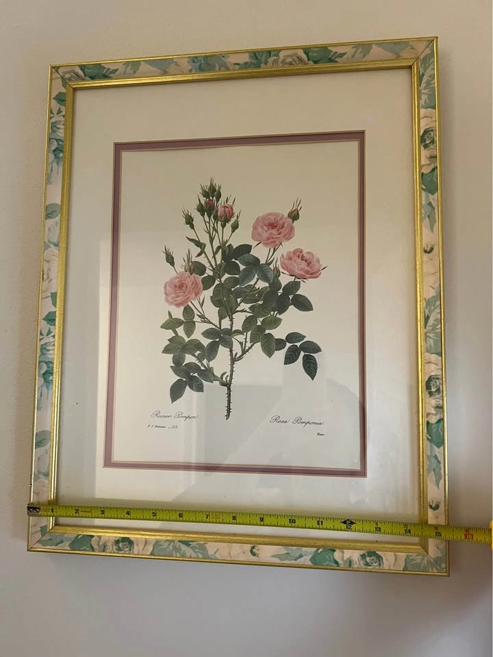 P.J. Redouté Rosier Pompon Botanical Framed Print - photo 3