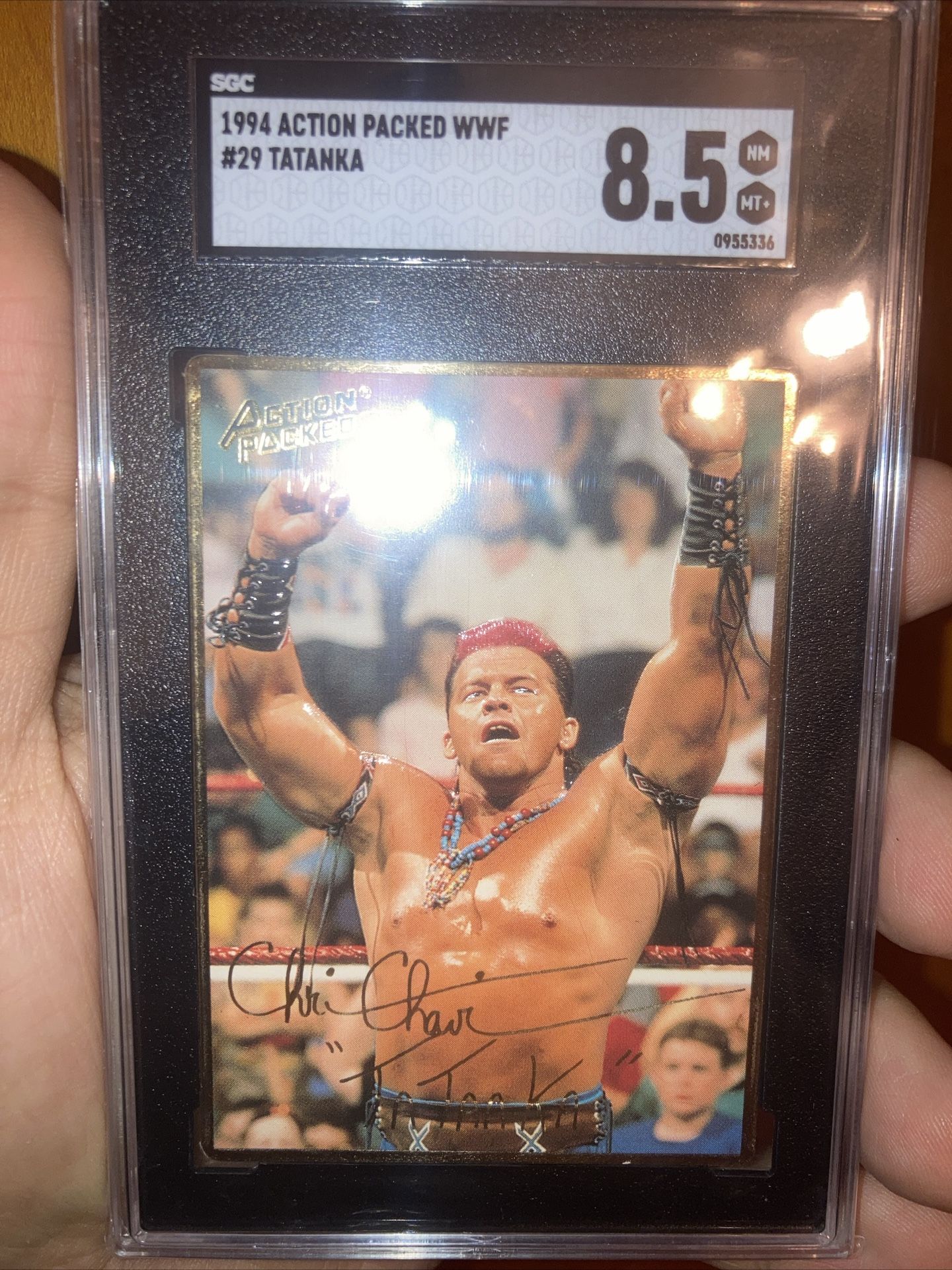 Tatanka #29 Rookie Card 1994 Action Packed WWF SGC 8.5