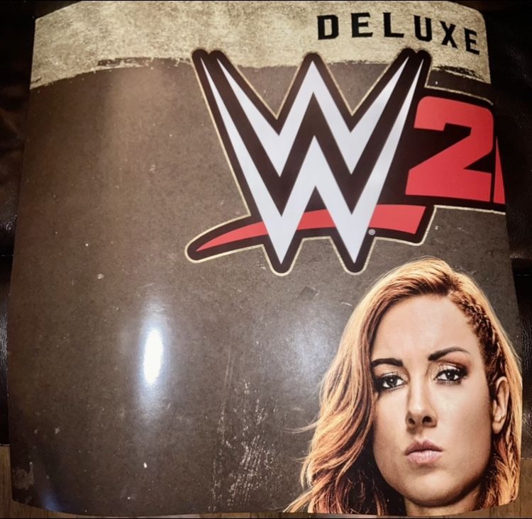 GameStop 48”x48” WWE 2K20 Promotional Section Poster - photo 2