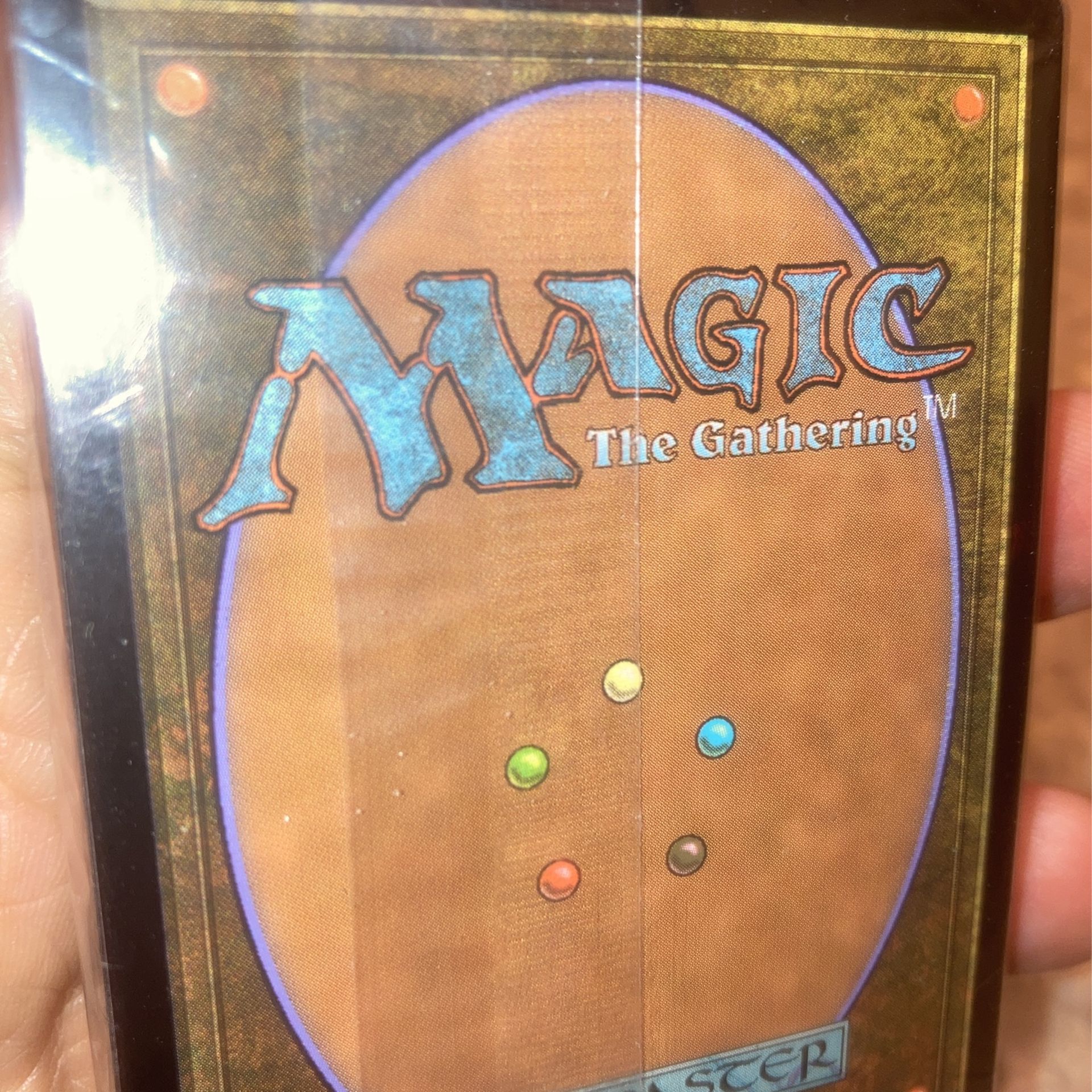 Magic The Gathering (MTG) Basic Land Pack, Shards Of Alara (40 C - photo 3