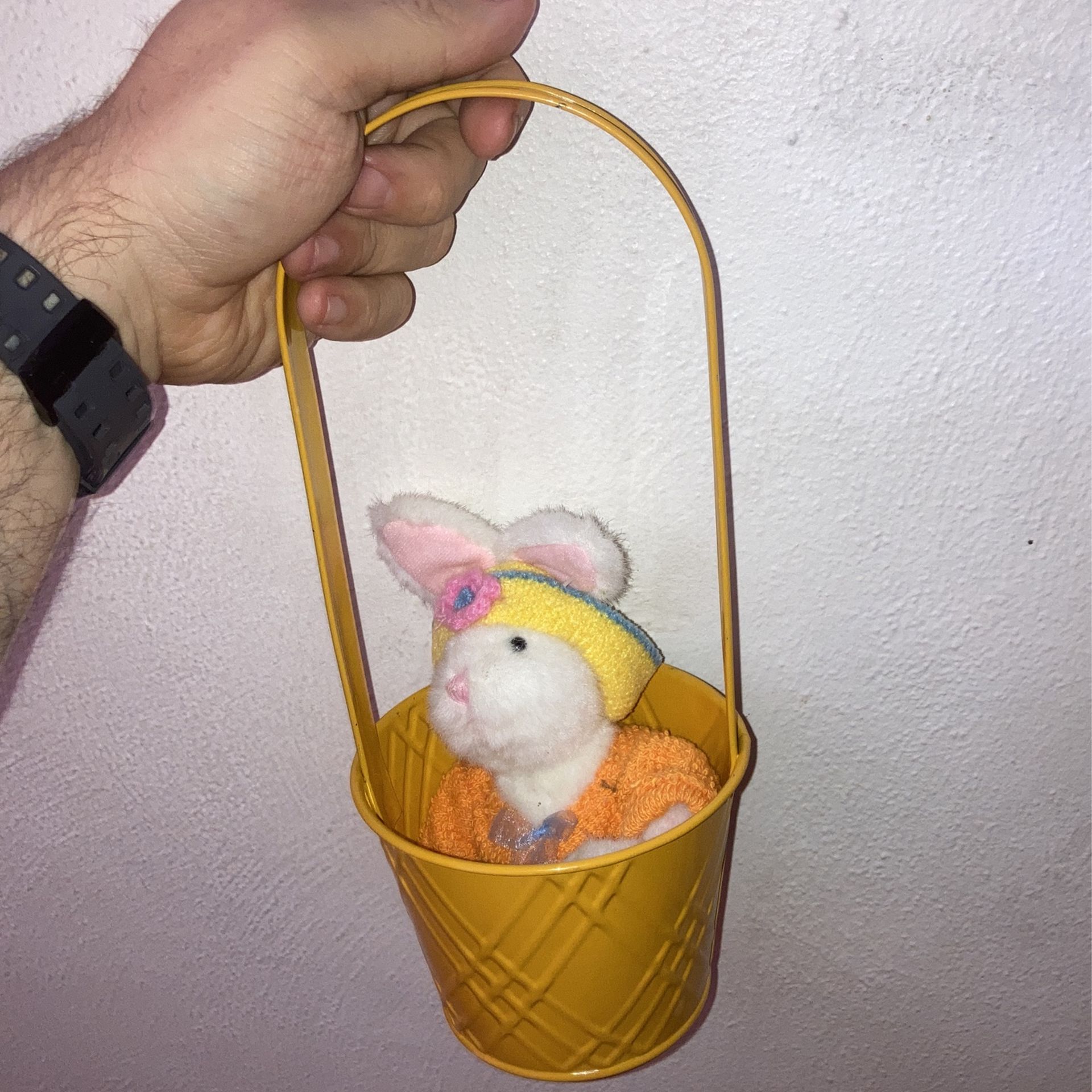 Whimsical Decorative Bunny & Bucket