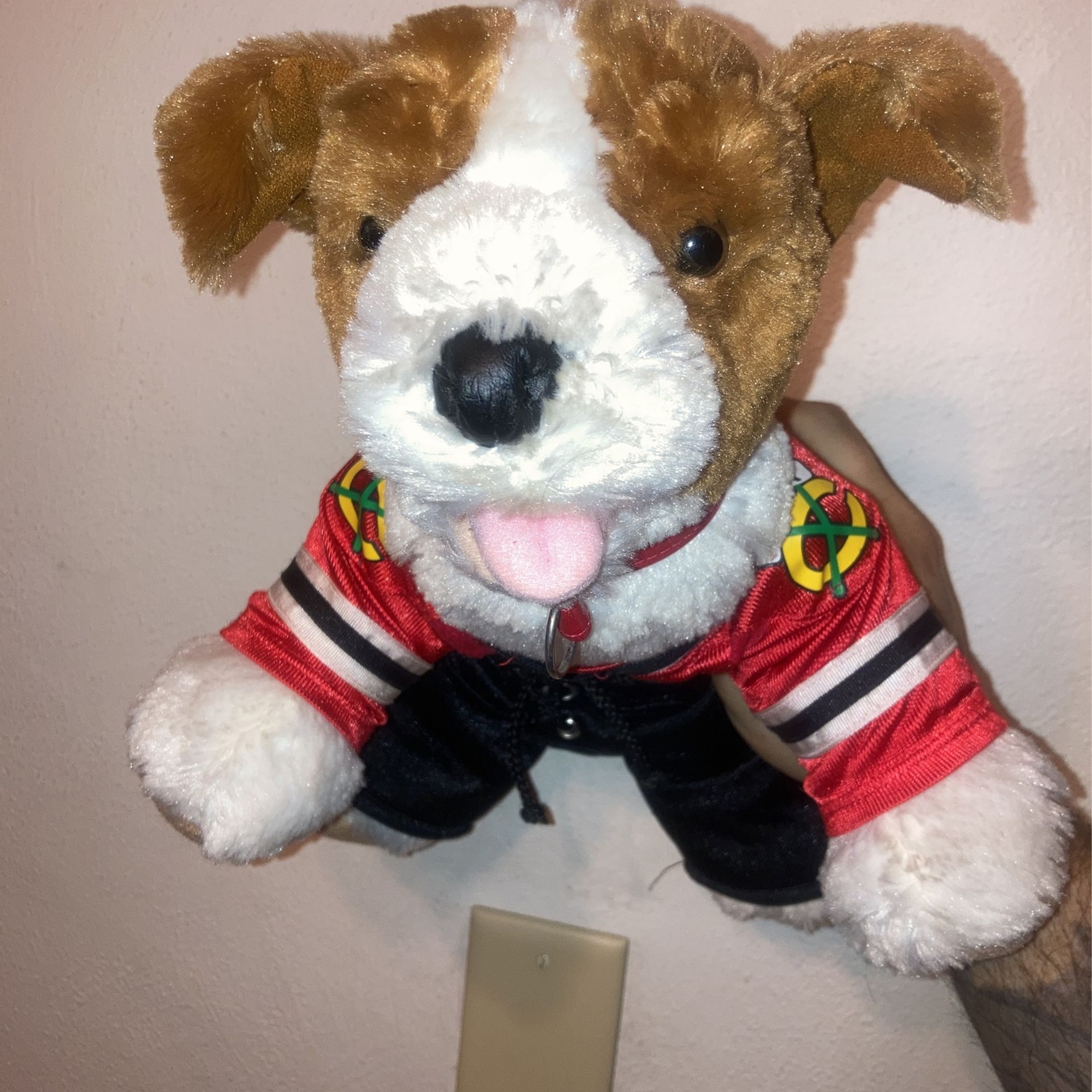 Build A Bear Brown And White Terrier 2010, Blackhawks Outfit