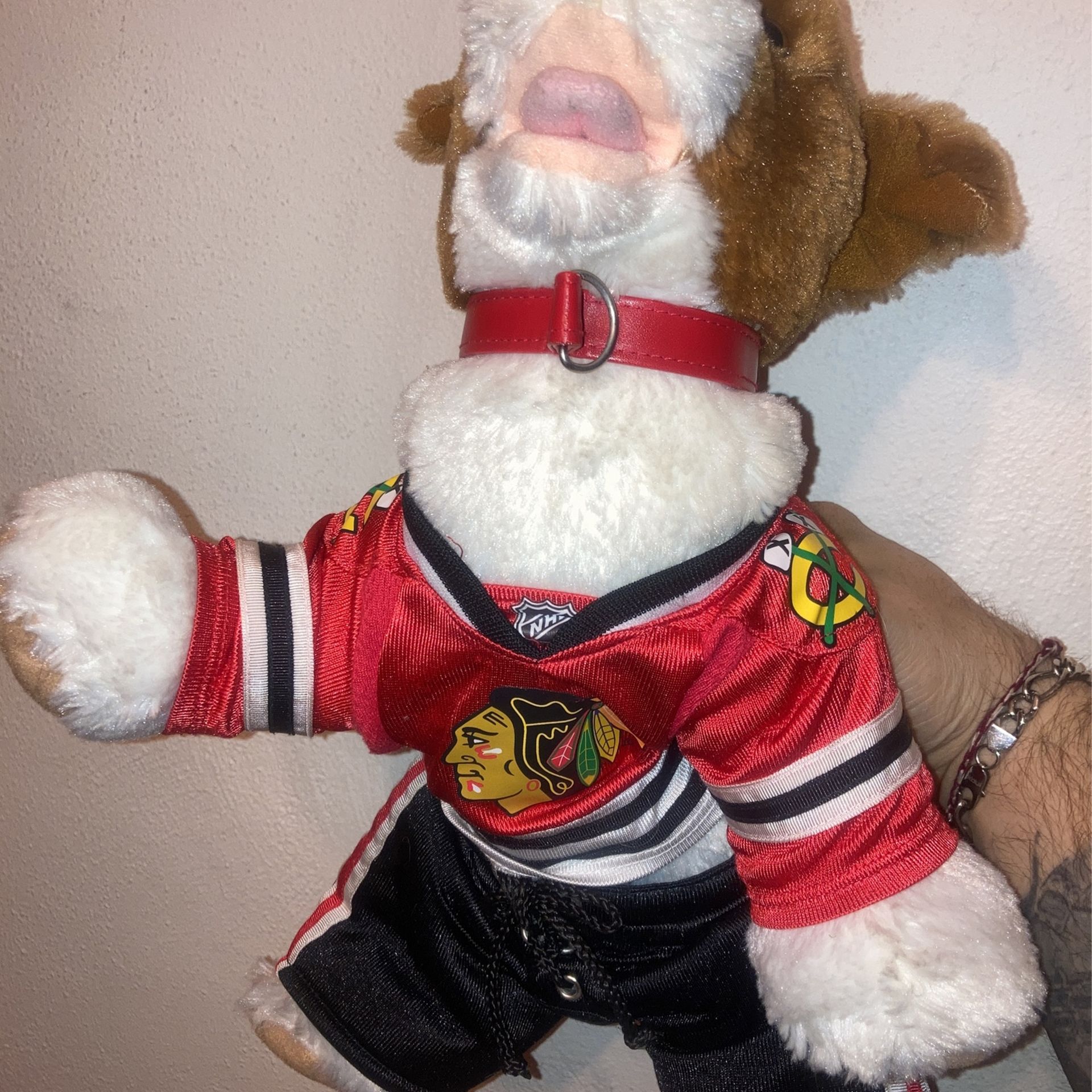 Build A Bear Brown And White Terrier 2010, Blackhawks Outfit - photo 2